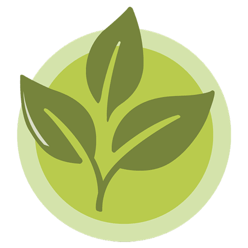 vegetal